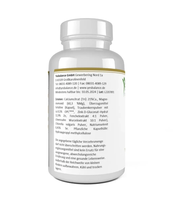 herbalbasen, 120 Kapseln