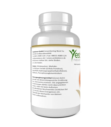 Yesbalance Asia Power – Pflanzenextrakte Supplement