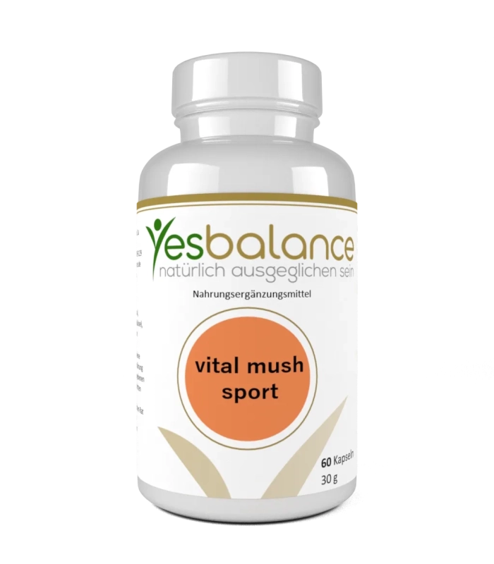 vital mush sport - Klarer Kopf für Wettkampf | Yesbalance