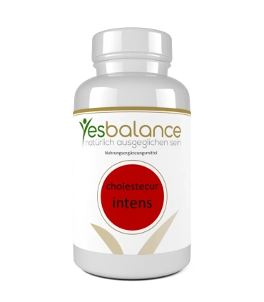 cholestecur intens - Natürliches Kombipräparat mit Monakolin K