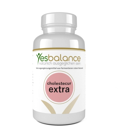 YesBalance Cholestecur Extra – Fermentierter Reis-Extrakt & Q10