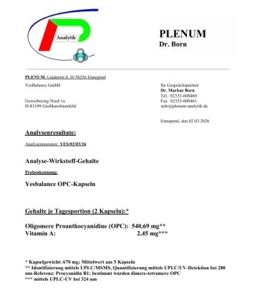 OPC+ACE Kapseln: Stärken Immunsystem, Haut & Herz: Mehr Energie!