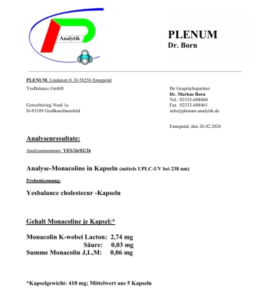 Yesbalance Cholestecur Extra – Fermentierter Reis-Extrakt & Q10