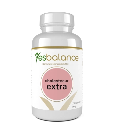 Yesbalance Cholestecur Extra – Fermentierter Reis-Extrakt & Q10