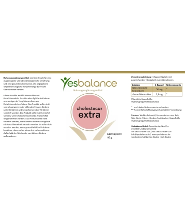 Yesbalance Cholestecur Extra – Fermentierter Reis-Extrakt & Q10