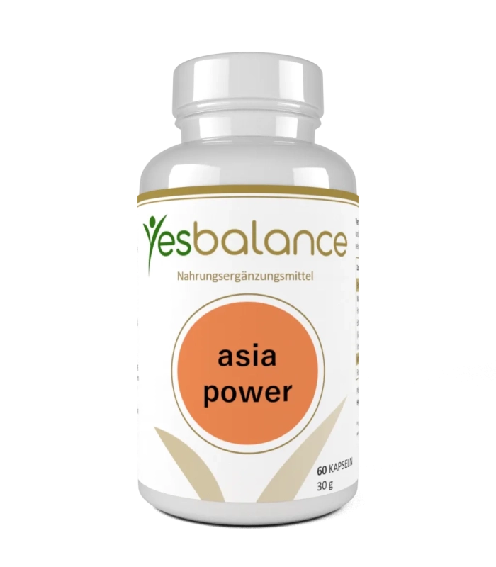 Yesbalance Asia Power – Pflanzenextrakte Supplement