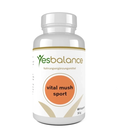 vital mush sport – Shiitake & Maitake | Yesbalance