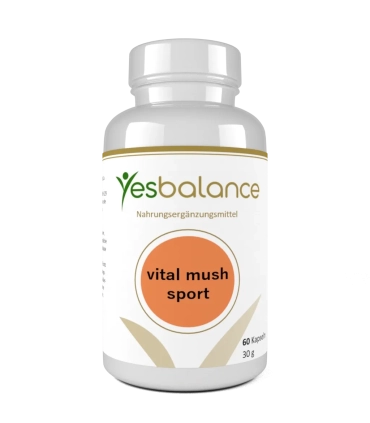 vital mush sport – Shiitake & Maitake | Yesbalance