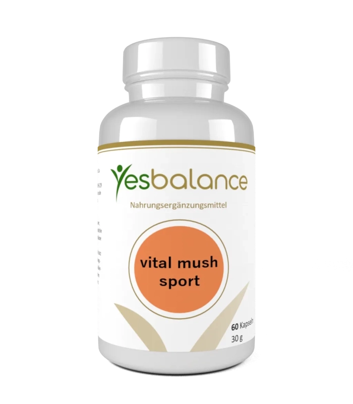 vital mush sport – Shiitake & Maitake | Yesbalance
