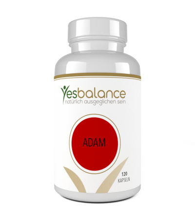 ADAM – yesBalance -...