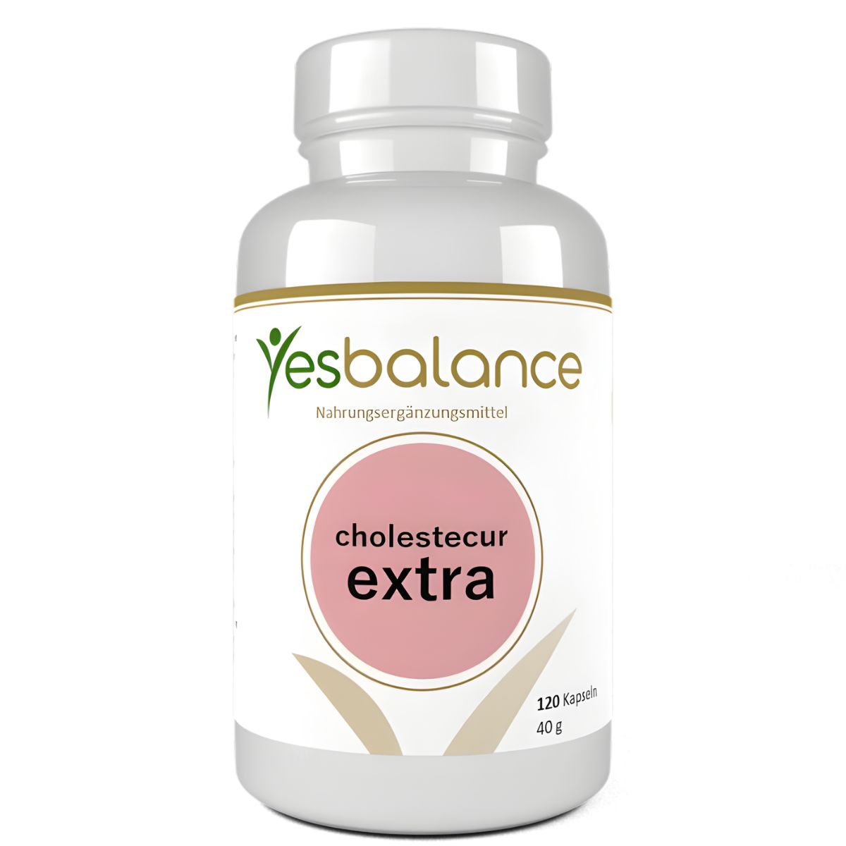 Leber Complex Curcumin und Bromelain Leber Complex Curcumin und Bromelain