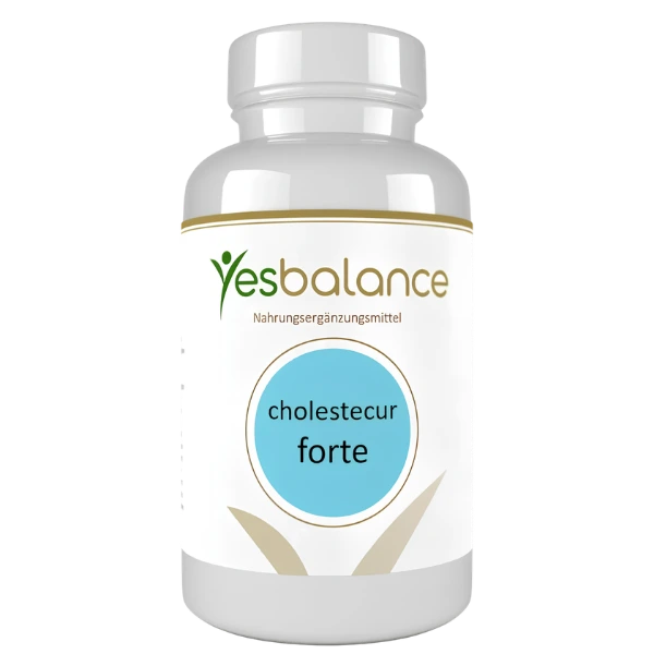 Leber Complex Curcumin und Bromelain Leber Complex Curcumin und Bromelain