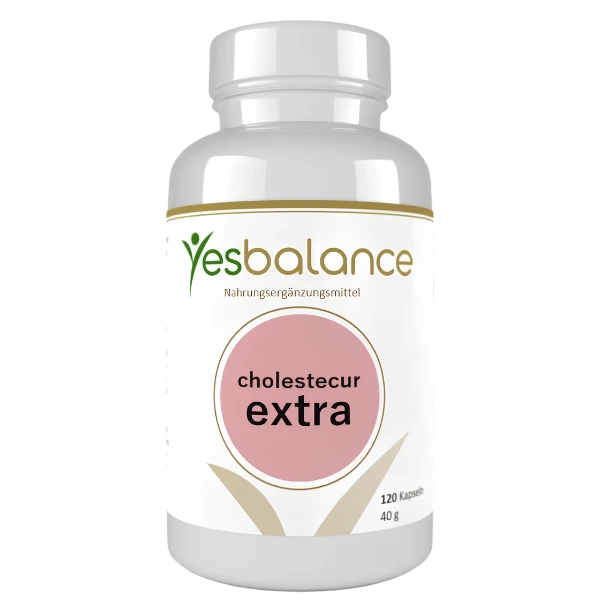 Leber Complex Curcumin und Bromelain Leber Complex Curcumin und Bromelain
