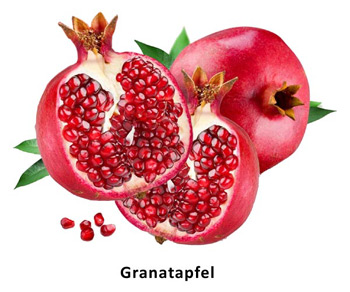 Granatapfel