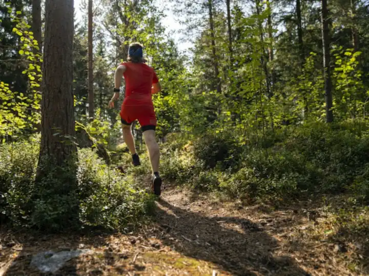 Läufer auf einem Waldweg