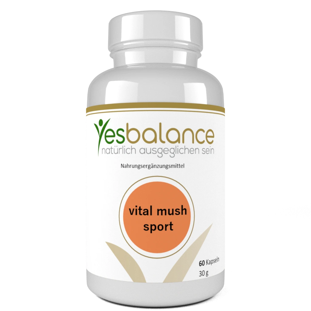 Hochdosiertes Acetyl-L-Carnitin​