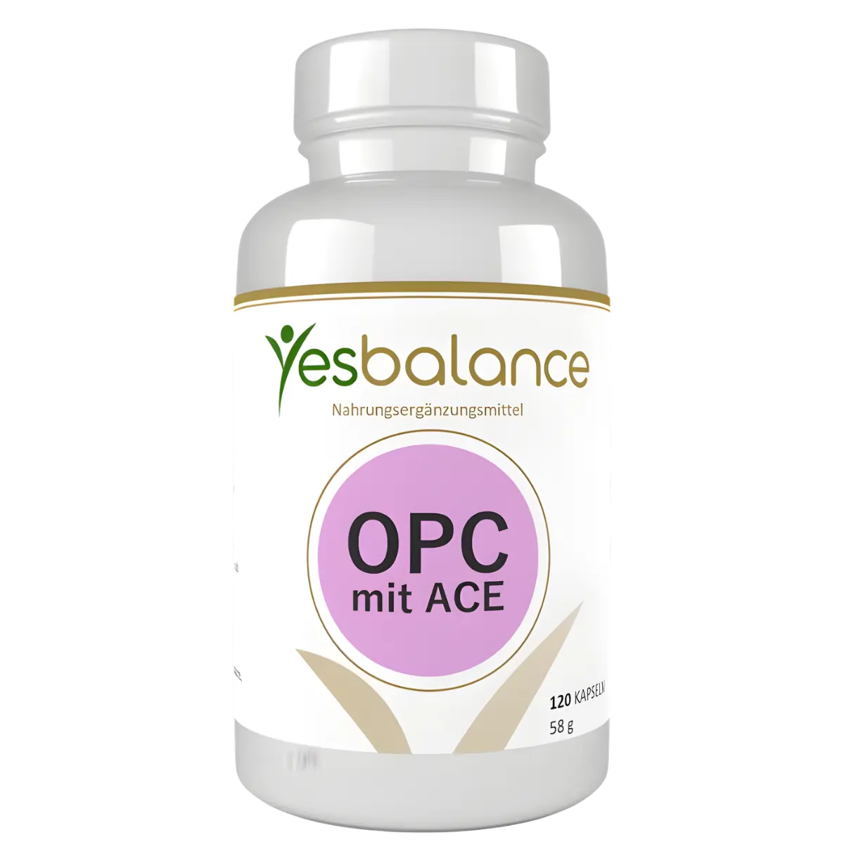 Leber Complex Curcumin und Bromelain