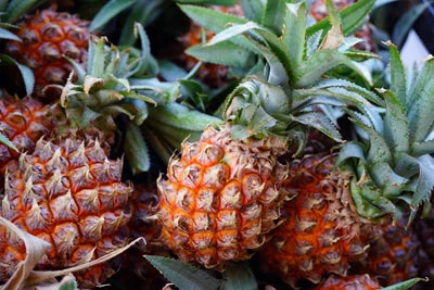 Bromelain ein Wirkstoff aus der Ananas