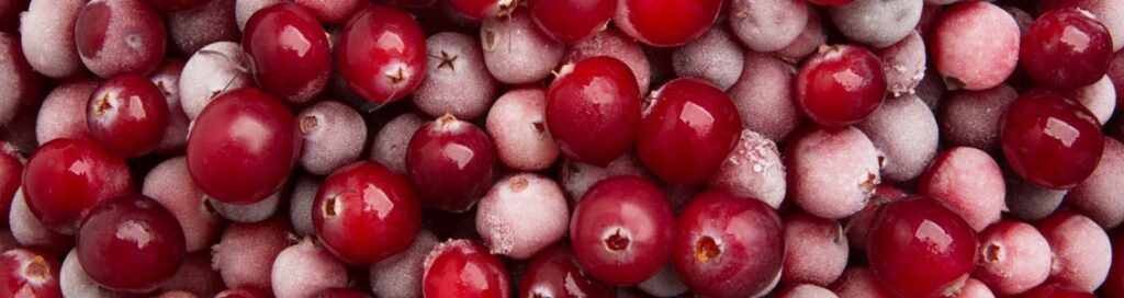 Cranberrys haben einen abnorm hohen Gehalt an sekundären Pflanzenstoffen