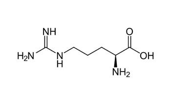 L-ARGININ - allgemeine Verbesserung der Durchblutung