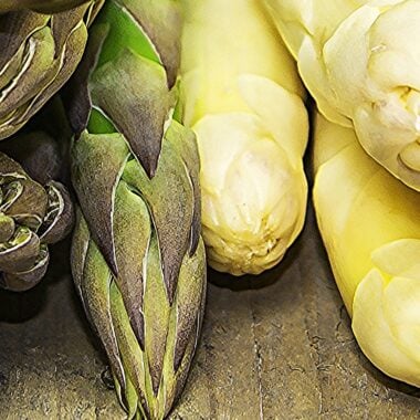 Spargelzeit: Drei einfache Rezepte