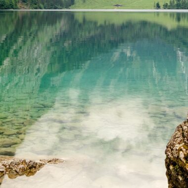 Nährstoffe für Longevity und Anti-Aging