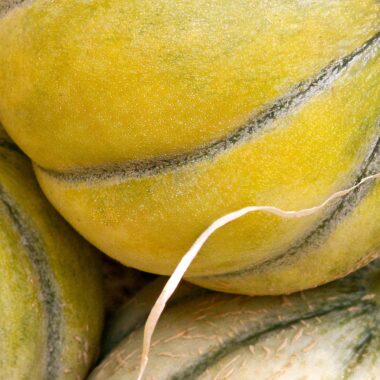 Melonen-Rezepte für den Sommer Melonen-Rezepte für den Sommer