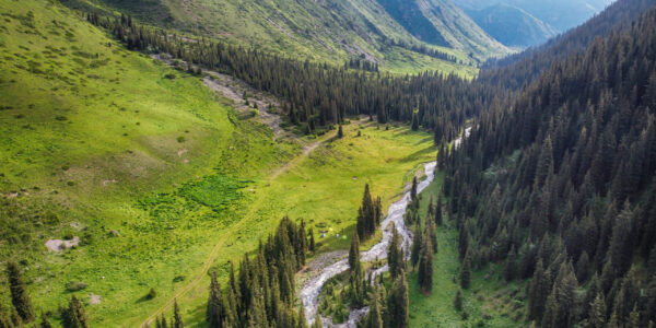 Areal view of river, green field and forest in mountains. Nature landscape. Outdoor view, Kyrgyzstan.